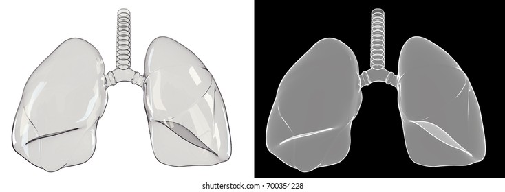 A 3D Rendering Of A Glass Lung.