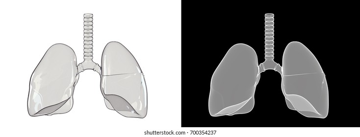 A 3D Rendering Of A Glass Lung.