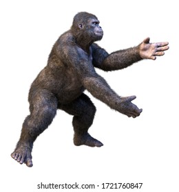 3D Rendering Of A Gorilla Ape Isolated On White Background