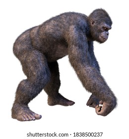 3D rendering of a gorilla ape isolated on white background
