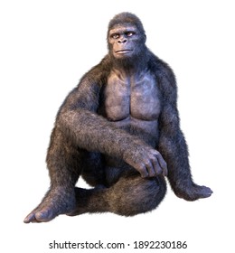 3D rendering of a gorilla ape isolated on white background