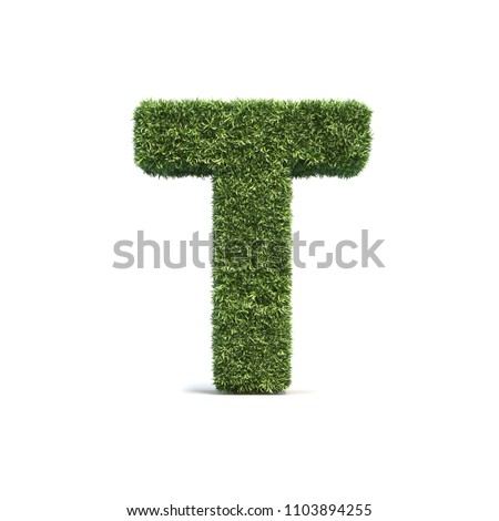 
3D rendering of grass playing field alphabet 