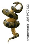 3D rendering of a green anaconda or Eunectes murinus or common anaconda orwater boa isolated on white background