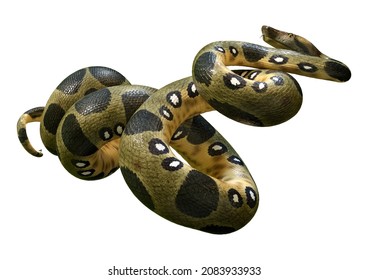3D rendering of a green anaconda or Eunectes murinus or common anaconda orwater boa isolated on white background