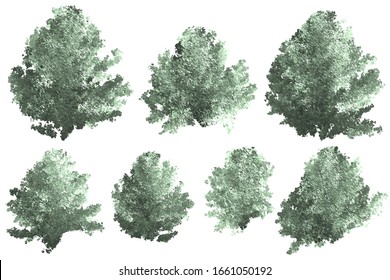 3D rendering green bush isolated on white background. Tree and natrue concept