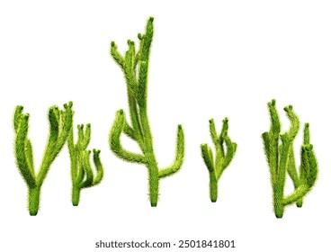 3D rendering of green cholla cactus isolated on white background