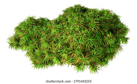 3D rendering of a green hummock moss isolated on white background - Shutterstock ID 1791433253