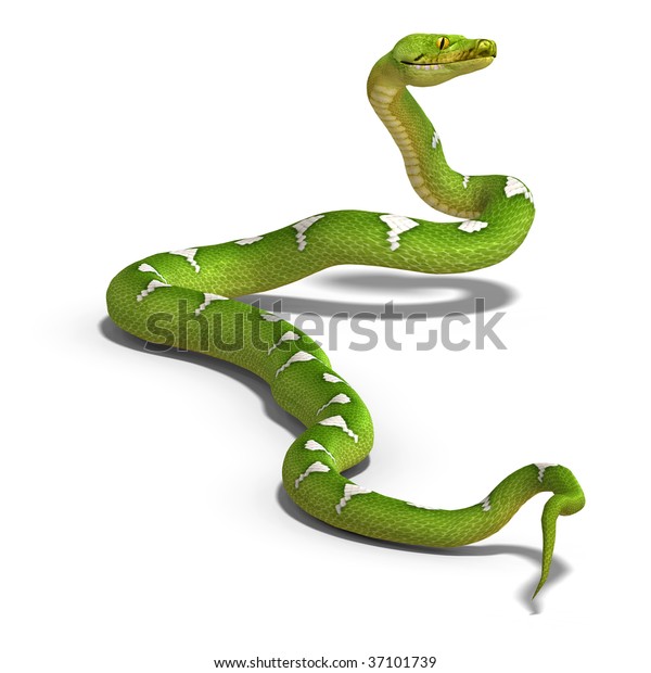 3d Rendering Green Tree Python Clipping Stock Illustration 37101739 ...