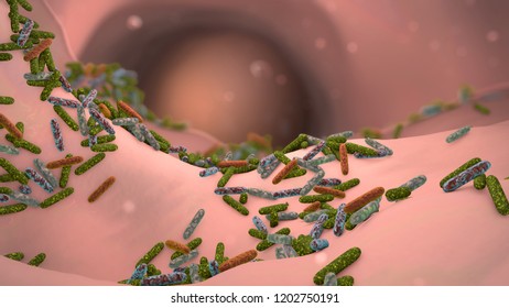 3D Rendering Gut Bacteria Microbes