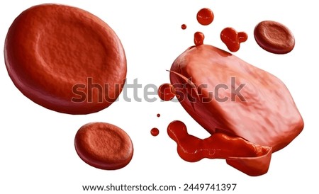 3d rendering of Hemolysis, is the process of red blood cells
 breaking down and releasing their contents into surrounding fluid