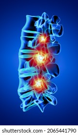 3D rendering human with the backbone