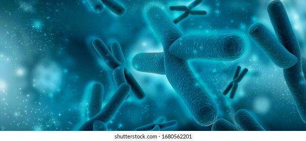 3d rendering human body chromosomes
