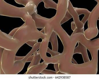 3d Rendering - Human Bone Tissue