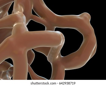 3d Rendering - Human Bone Tissue