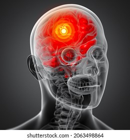 3D Rendering Human Brain X Ray - Close-up