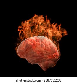 3D Rendering of a Human Brain's Burning on Fire with Hot Flame