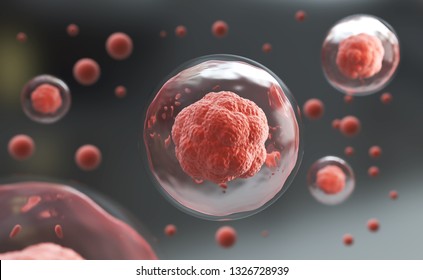 3d Rendering Of Human Cell Or Embryonic Stem Cell Microscope Background.