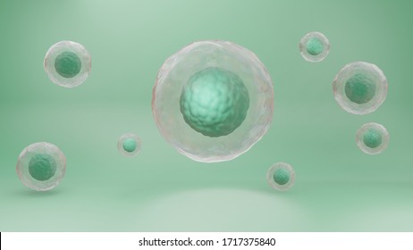 3d Rendering Of Human Cells Or Plant Cell Isolated On Beige Background. Stem Cell Concept Of On Green Background