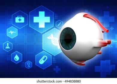 3d Rendering Human Eye Dissection Anatomy Stock Illustration 513945154 ...