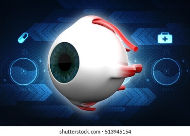 3d Rendering Human Eye Dissection Anatomy Stock Illustration 513945154 ...