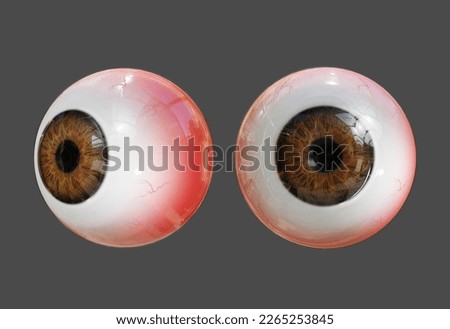 3d rendering human eye organs perspective view