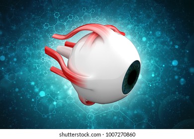 3d Rendering Human Eye Structure Stock Illustration 1007270857 ...