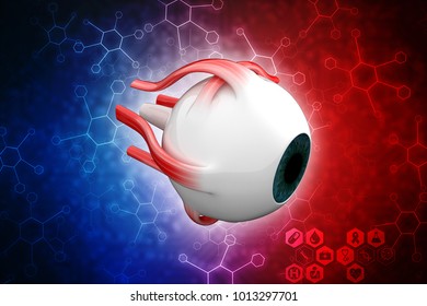 3d Rendering Human Eye Structure Stock Illustration 727954900 ...