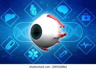 3d Rendering Human Eye Structure Stock Illustration 2095420861 ...