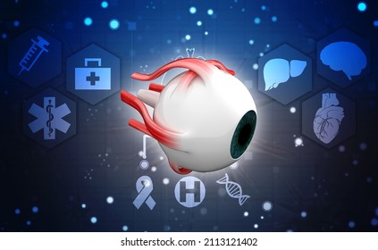 3d Rendering Human Eye Structure Stock Illustration 2113121402 ...