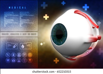 3d Rendering Human Eye Structure Stock Illustration 652210327