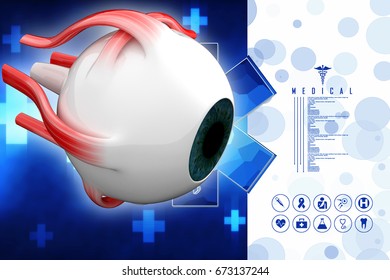 3d Rendering Human Eye Structure Stock Illustration 673137244 ...