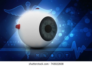 3d Rendering Human Eye Structure Stock Illustration 774209500