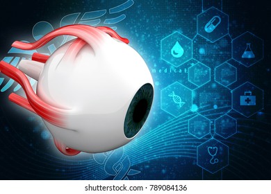 3d Rendering Human Eye Structure Stock Illustration 789084136 ...