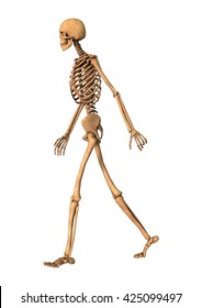 6,438 Skeleton Walking Images, Stock Photos & Vectors 