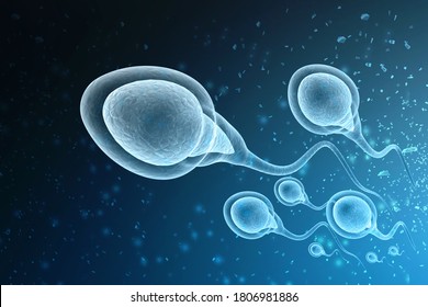 3d Rendering Human Sperm Cells