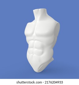 3D Rendering Of Human Torso