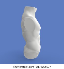 3D Rendering Of Human Torso