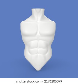 3D Rendering Of Human Torso