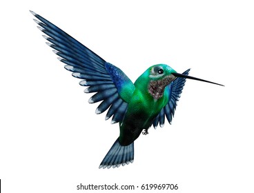 3D Rendering Of A Humming Bird Isolated On White Background