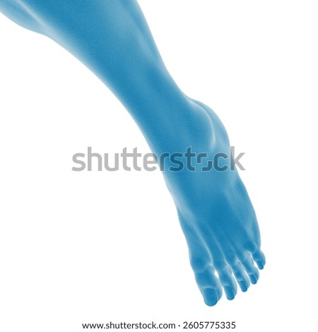 3d rendering -  Illustration of a blue human foot
