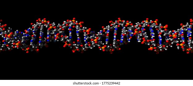 흰색 배경에 격리된 Dna 이중 나선 스톡 일러스트 1775239568 Shutterstock 5338