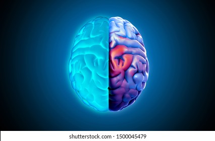 3D rendering illustration human brain left and right cerebral separate with glowing blue and colorful purple on dark background in top view with clipping path for die cut to layout on any backdrop