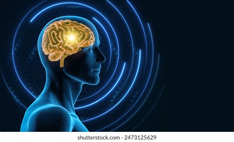 3d rendering Illustration of a human brain and central nervous system with glowing highlights and blue rings, representing cognitive function and neural activity.