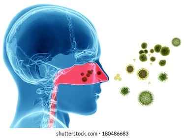 3d Rendering Illustration Of Pollen Or Virus