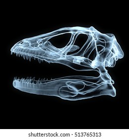 x ray dino