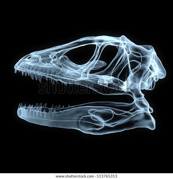 x ray dinosaur toy