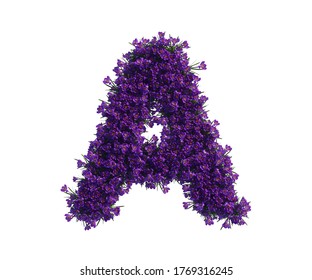 3d Rendering Image Of Alphabet Letter A, Made Of Violet Flower. High Resolution Image In White Isolated Background