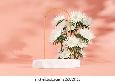 3D rendering image illustration of empty space podium display for product mockup natural background