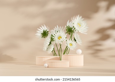 3D rendering image illustration of empty space podium display for product mockup natural background