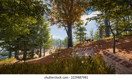 3D rendering. An immersive natural environment. Landscape to illustrate sustainable development goals, and ecosystem protection.